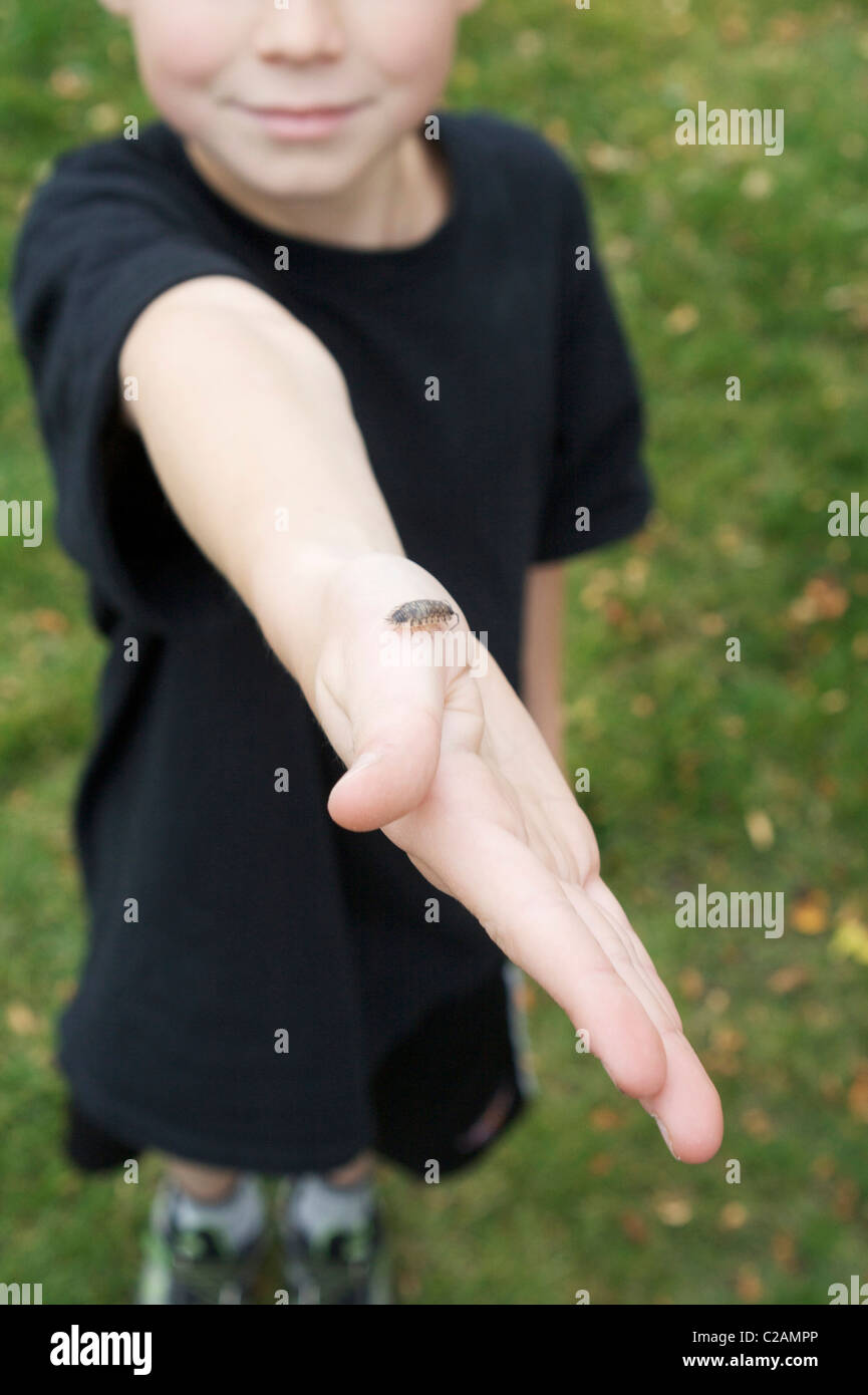 A small boy shows the camera a rolly bug crawling on his hand. Stock Photo