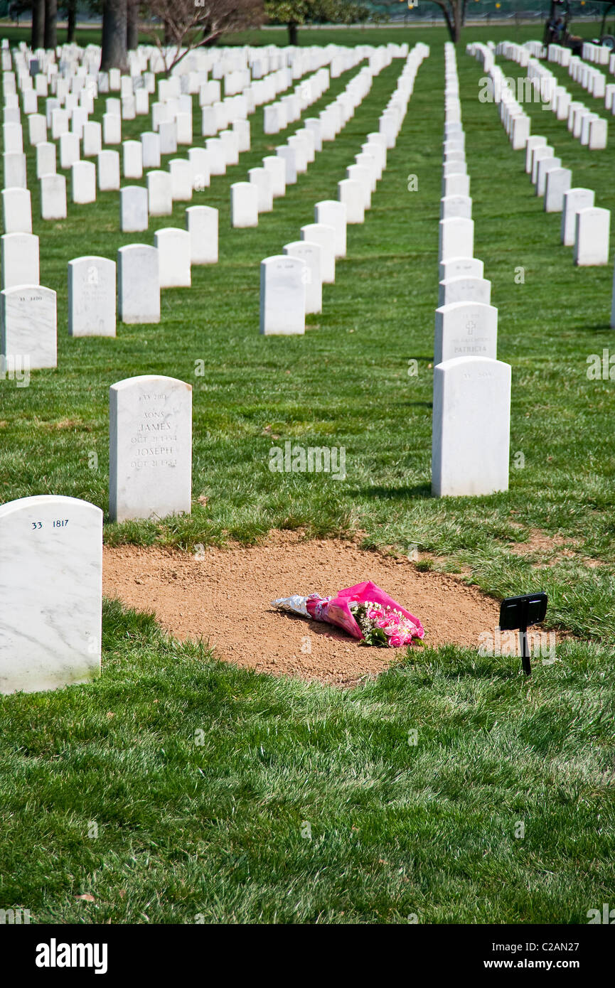 A new grave amongst endless rows at Arlington National Cemetery. Stock Photo