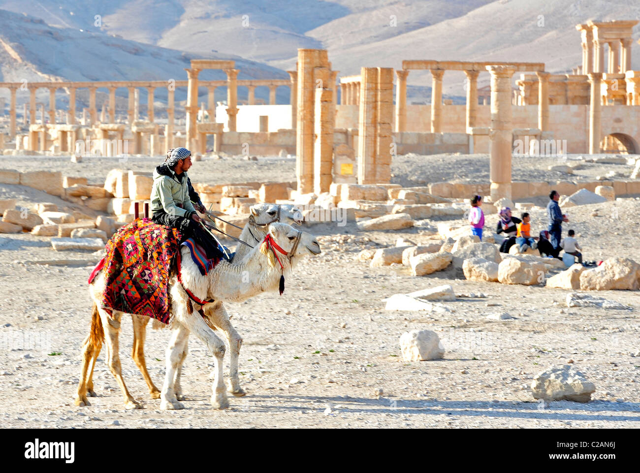 Middle east camel hi-res stock photography and images - Alamy