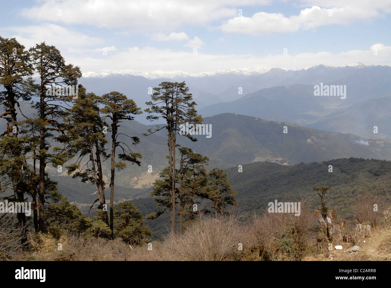 Mountains East of Dochu La Pass, Bhutan Stock Photo