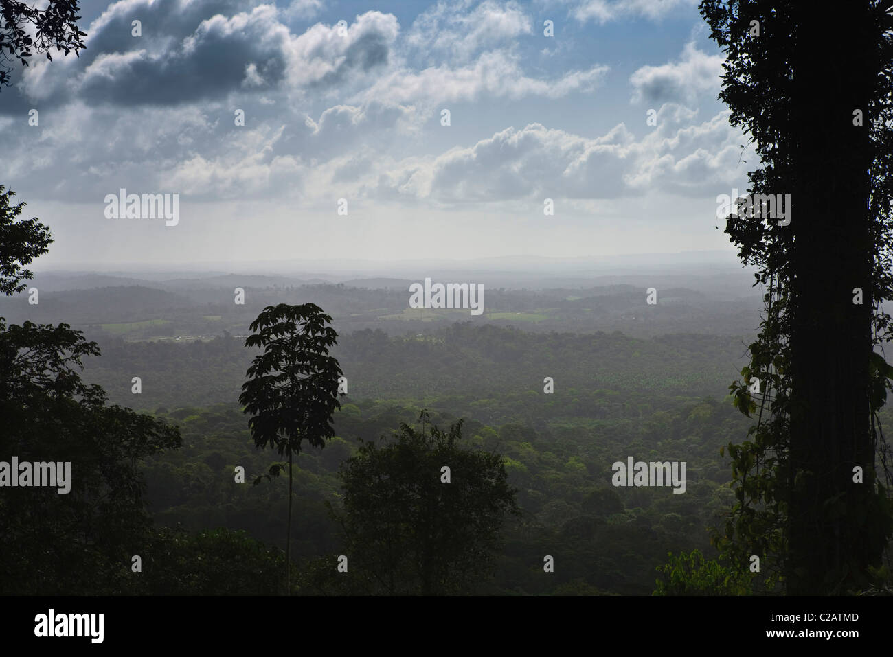 South America, Brazil, Amazon rainforest in Amapa State Stock Photo
