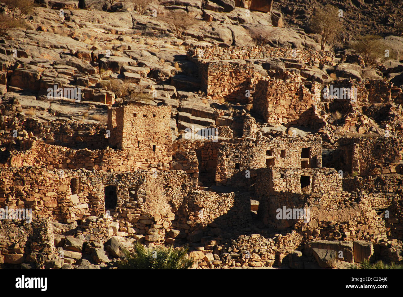 Oman, Ghul, traditional sunbaked houses and palm tree plantations in the village with tough