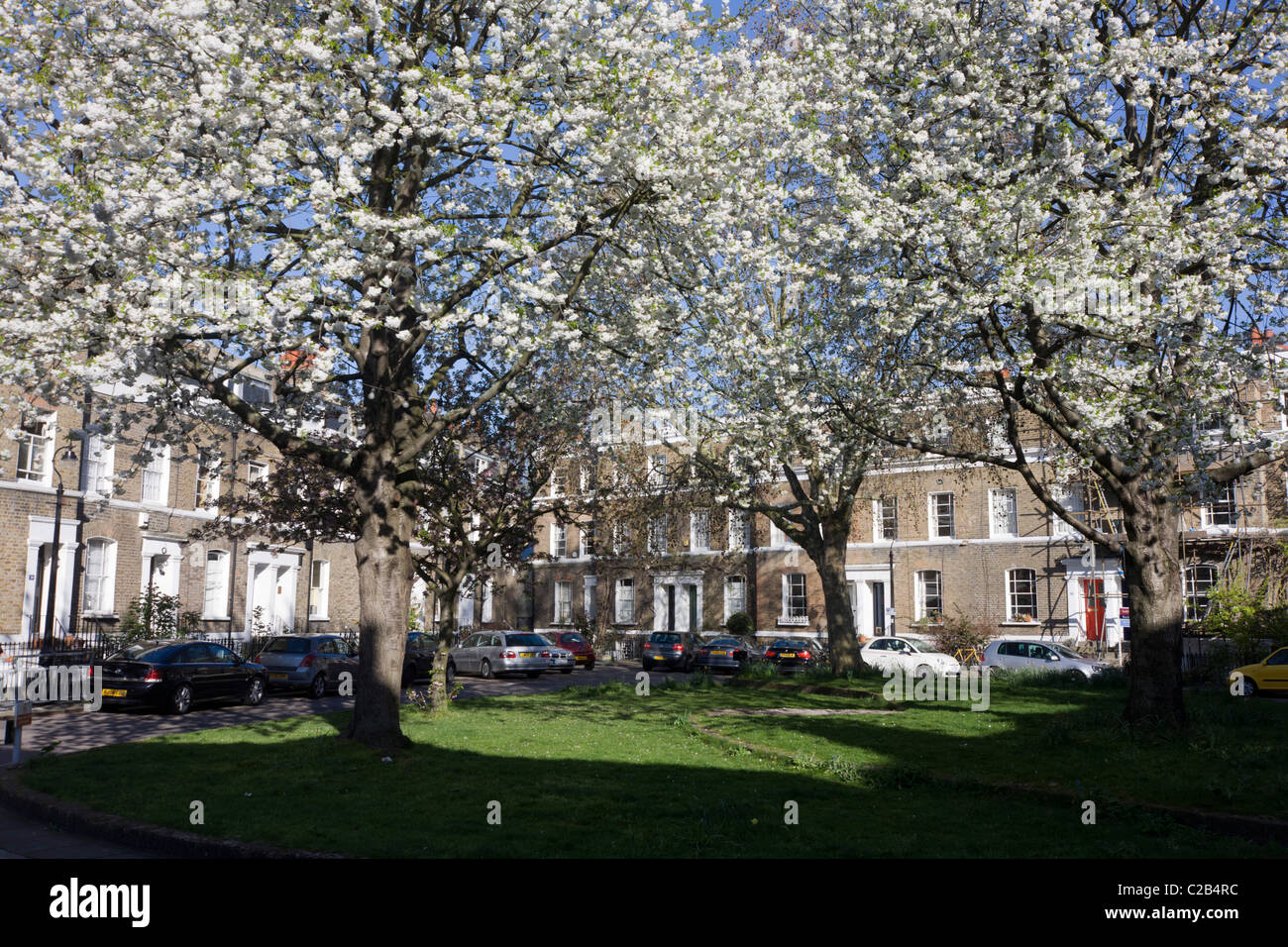 Hannover Square, Kennington SW8, with spring blossom and parked cars. Stock Photo