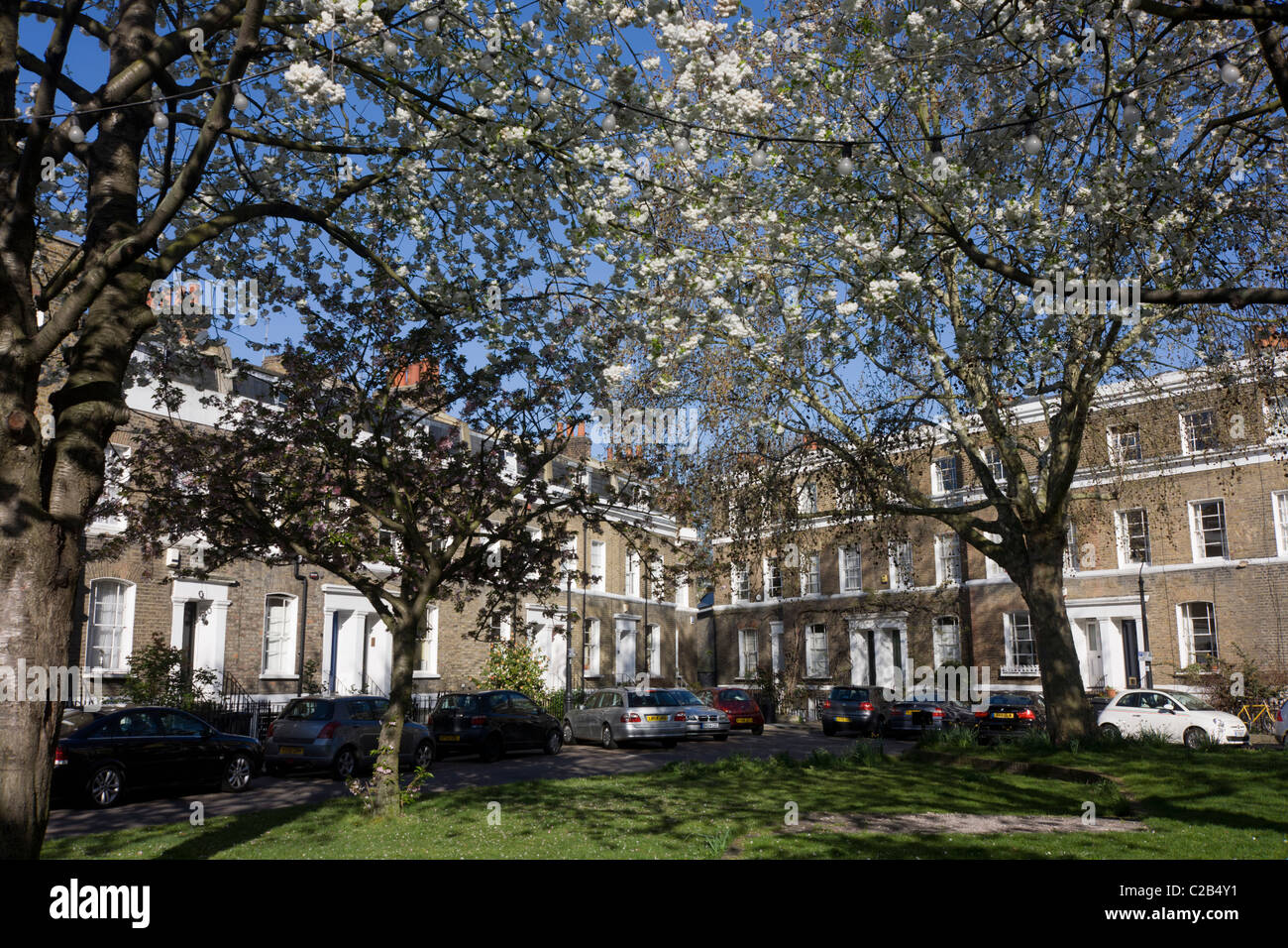 Hannover Square, Kennington SW8, with spring blossom and parked cars. Stock Photo