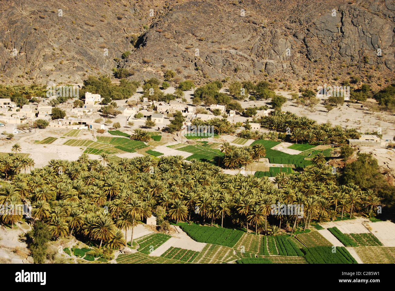 Oman, Wadi Bani Awf, Hatt, beautiful green fields, traditional sun-baked  houses and palm trees plantations in the village of Hat Stock Photo - Alamy