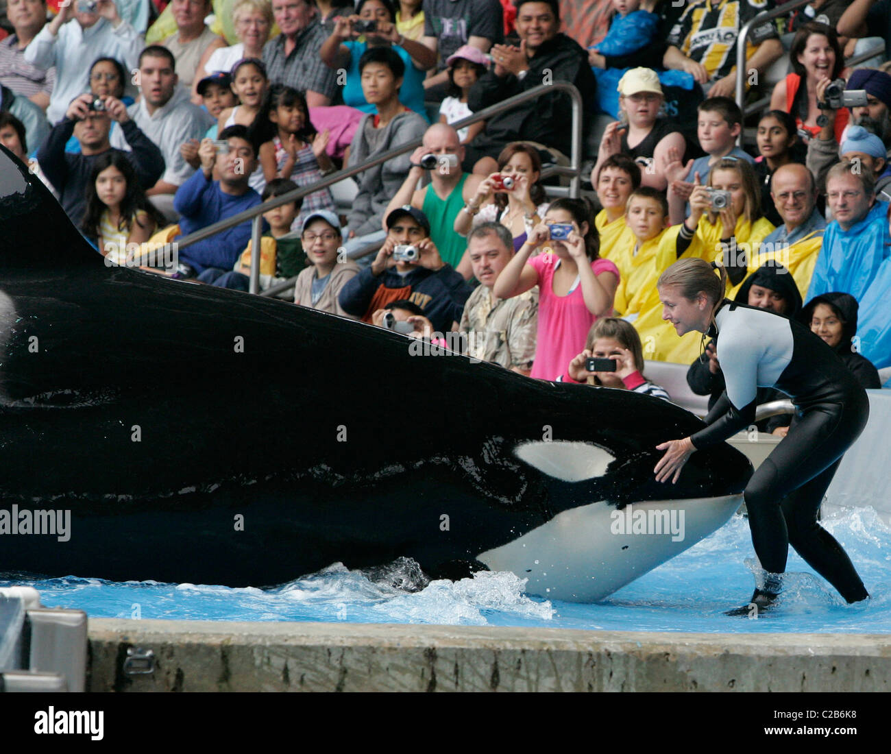 Dawn Brancheau And The Killer Whale Performing Tricks At Seaworld Florida Orlando Florida 04 11 04 Stock Photo Alamy