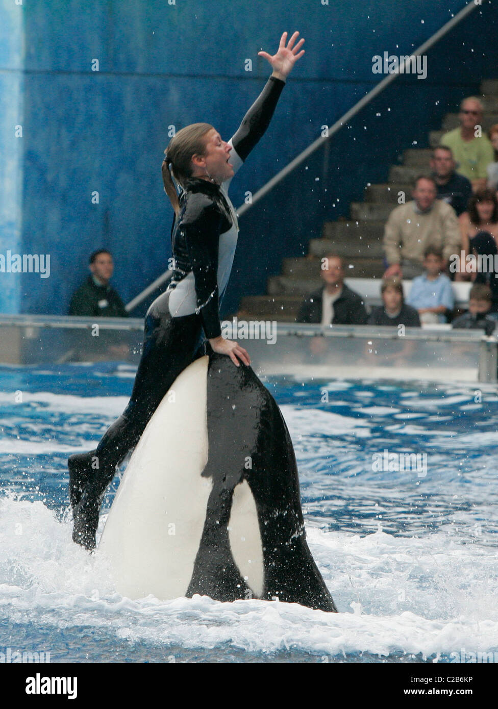 Dawn Brancheau And The Killer Whale Performing Tricks At Seaworld Florida Orlando Florida 04 11 04 Stock Photo Alamy