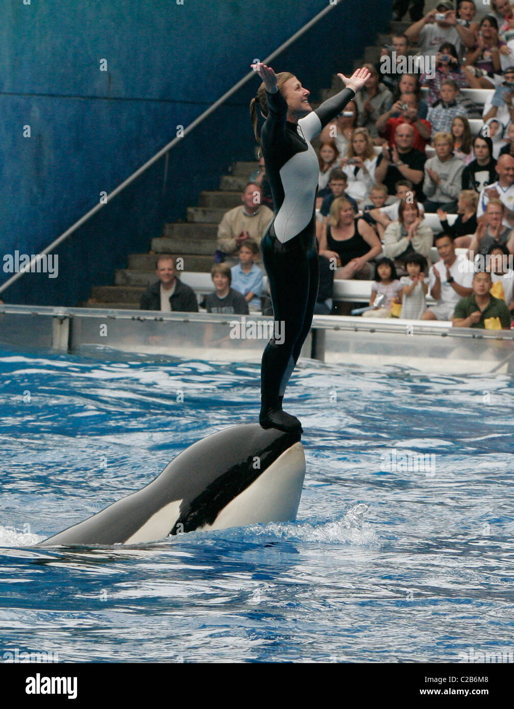 Dawn Brancheau And The Killer Whale Performing Tricks At Seaworld Florida Orlando Florida 04 11 04 Stock Photo Alamy