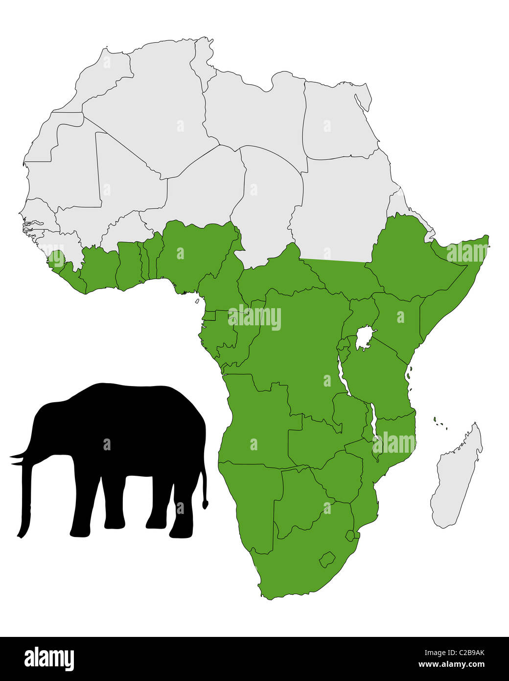 African Elephant Range C2B9AK 