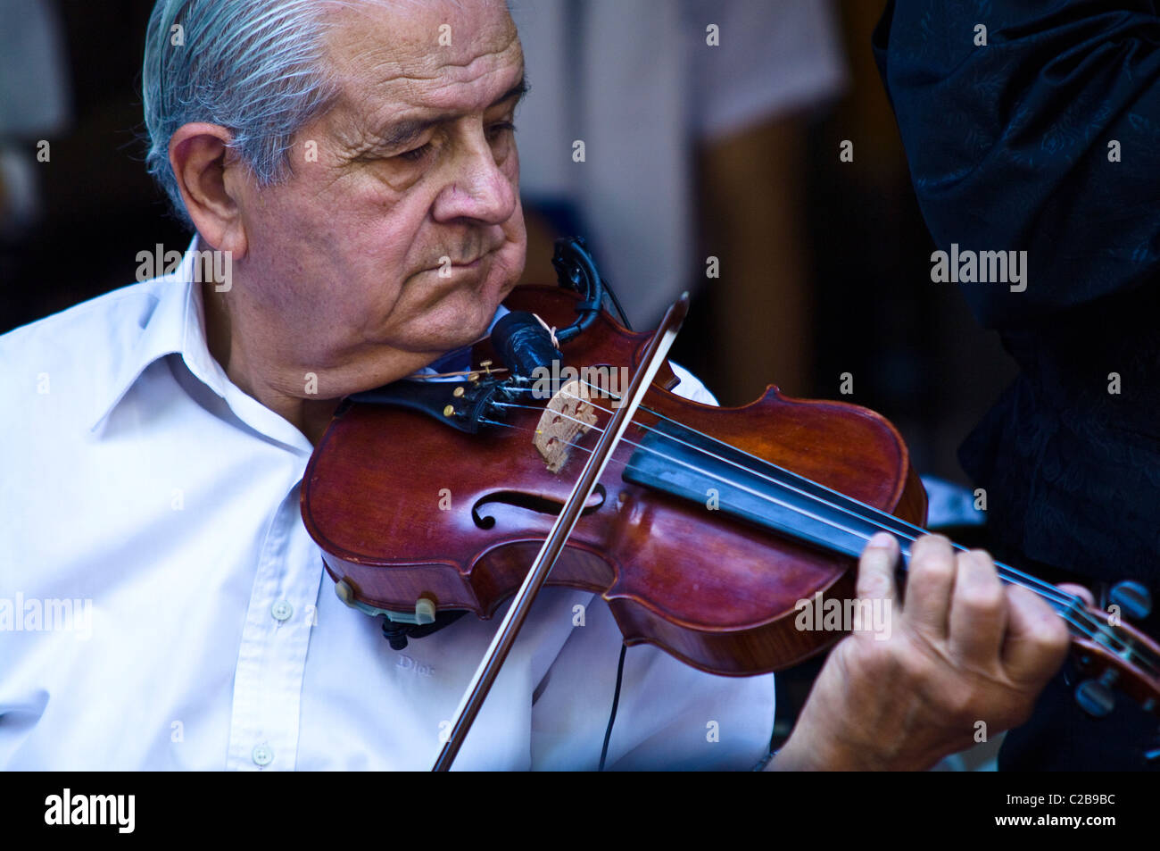 An elderly musician plays a violin creating rhythm for Tango dancers. Stock Photo