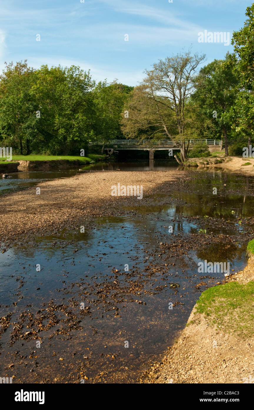 New forest bridge hi res stock photography and images Alamy