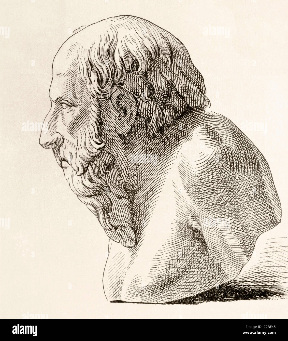 diogenes of sinope bird diogenes of sinope bird