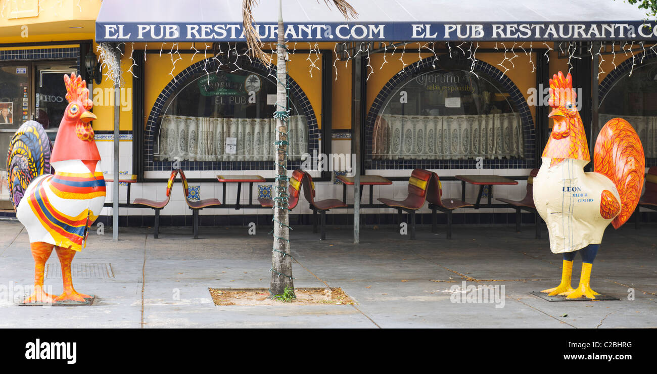 2 Roosters outside El pub, Little Havana, Miami Stock Photo Alamy