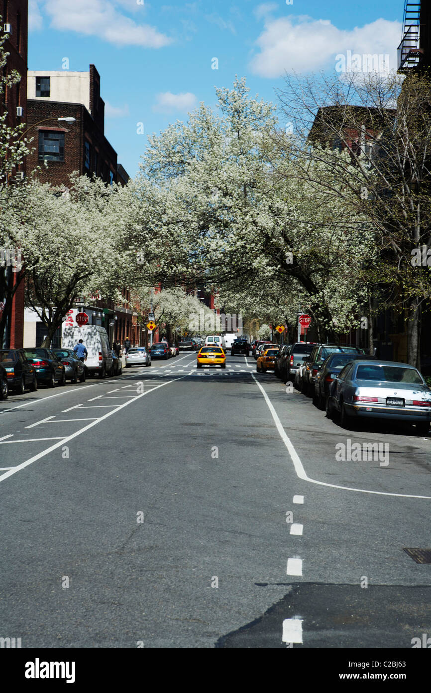 A yellow cab in the New York suburbs with cars parked on either side of the street. Stock Photo
