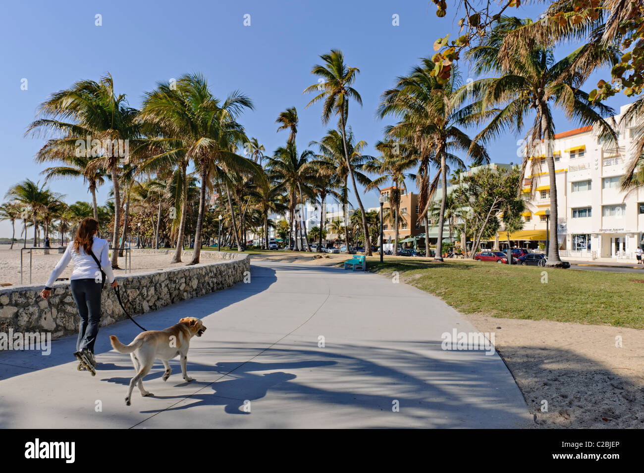 Lummus Park, South Beach, Miami Stock Photo
