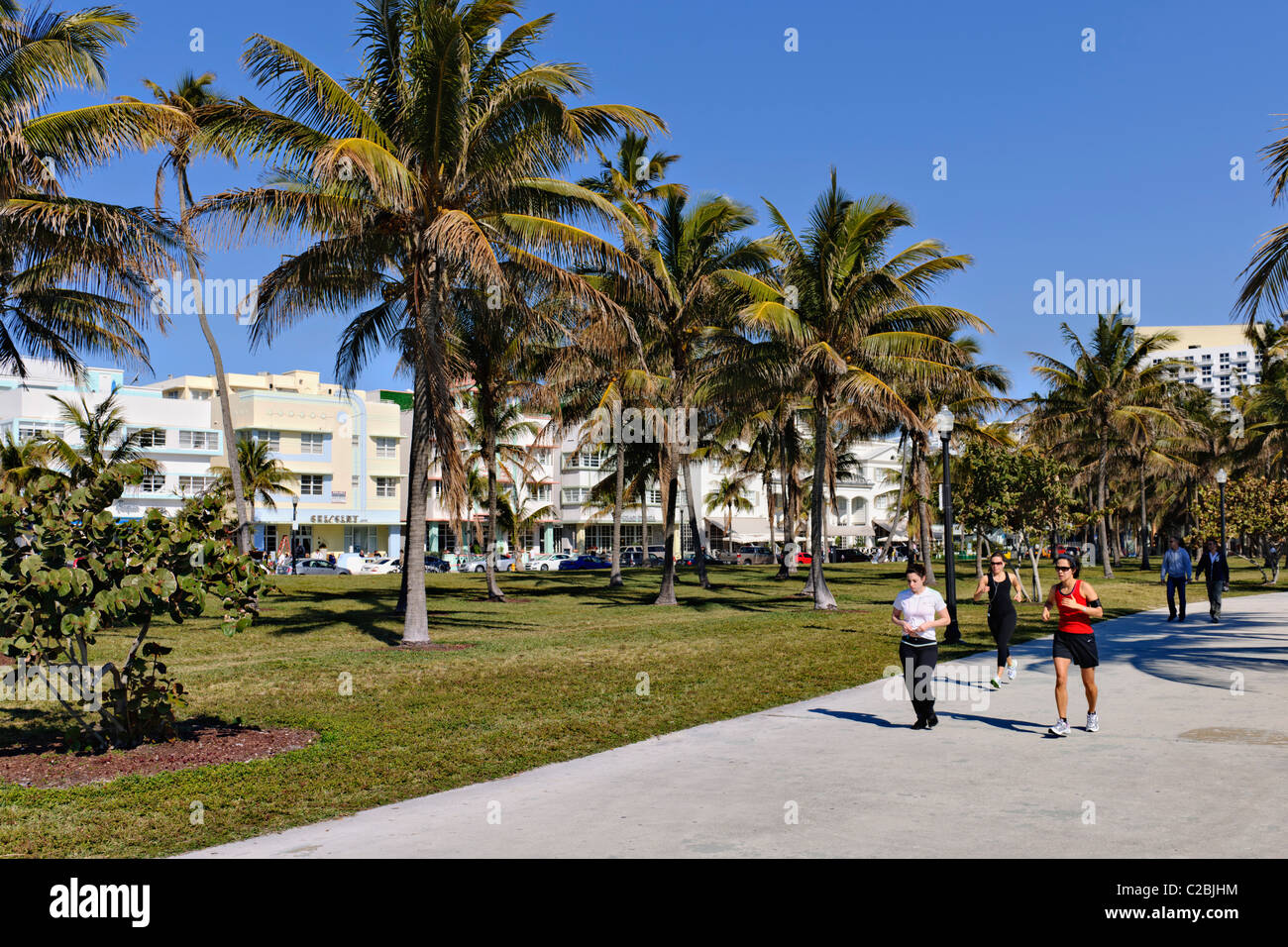 Lummus Park, South Beach, Miami Stock Photo