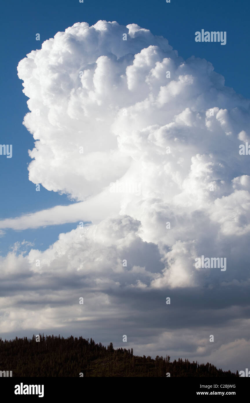 Cumulonimbus clouds over the Sierra Nevada Mountains. Stock Photo