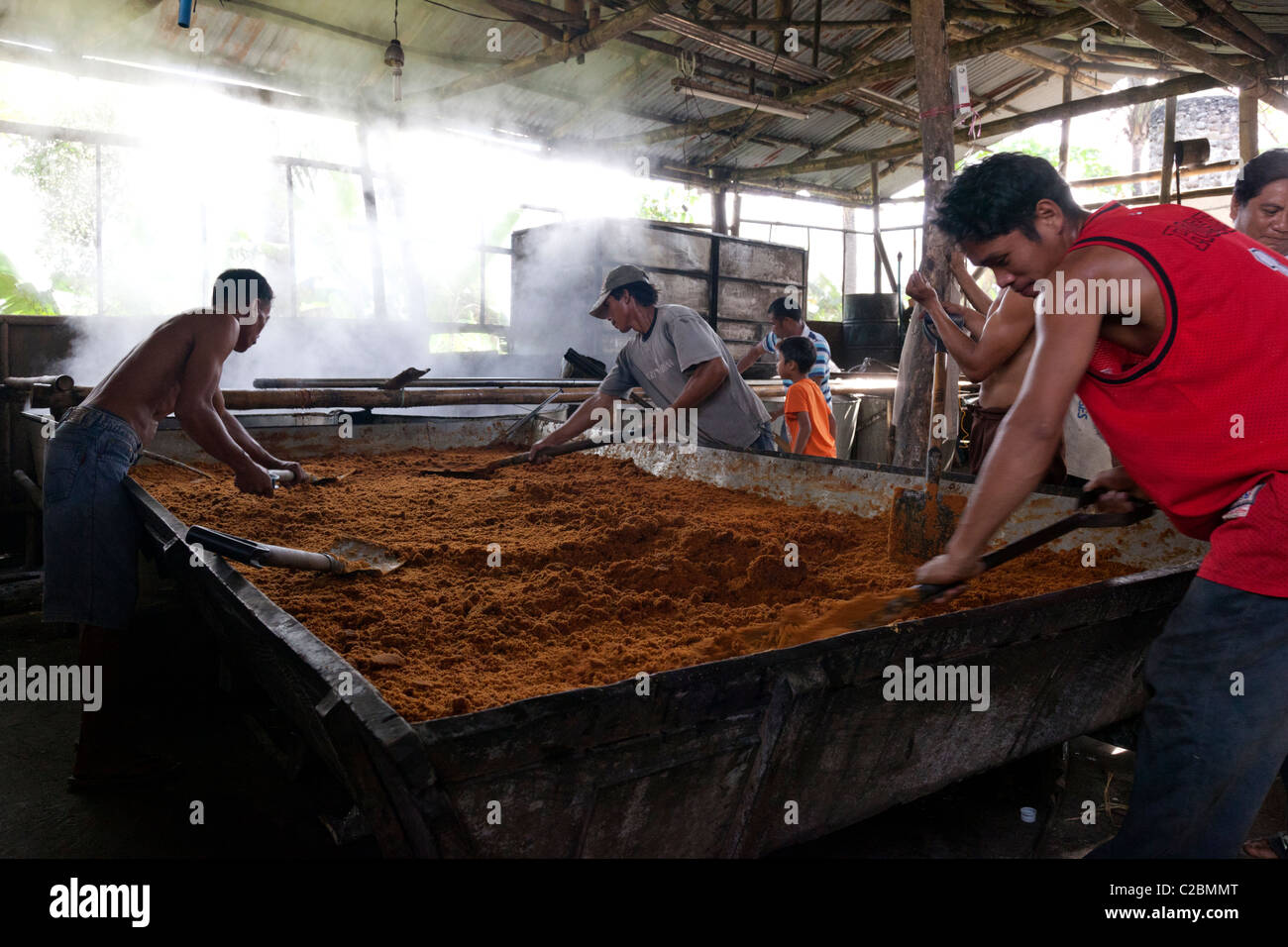 Filipino workers processing Muscovado Sugar at a sugar mill. The