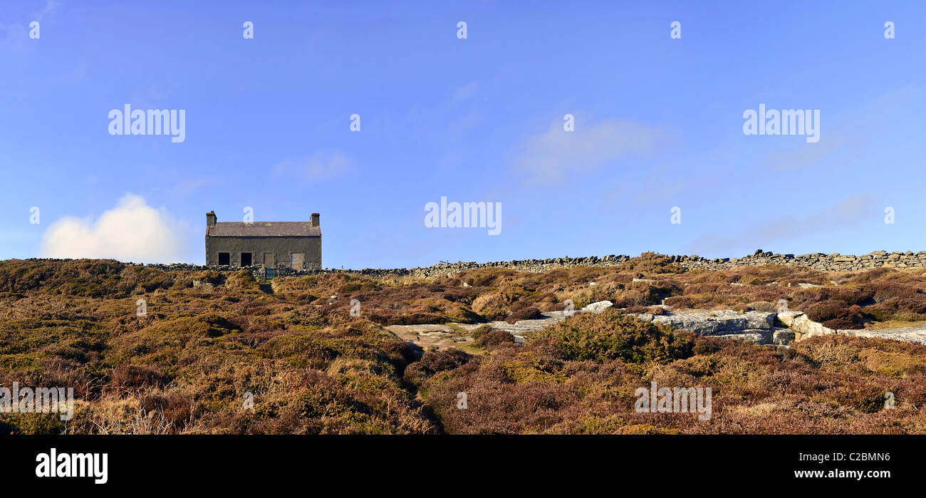 Stitched Panorama of Abandoned House in the Heather Field with Bright Blue Sky Stock Photo