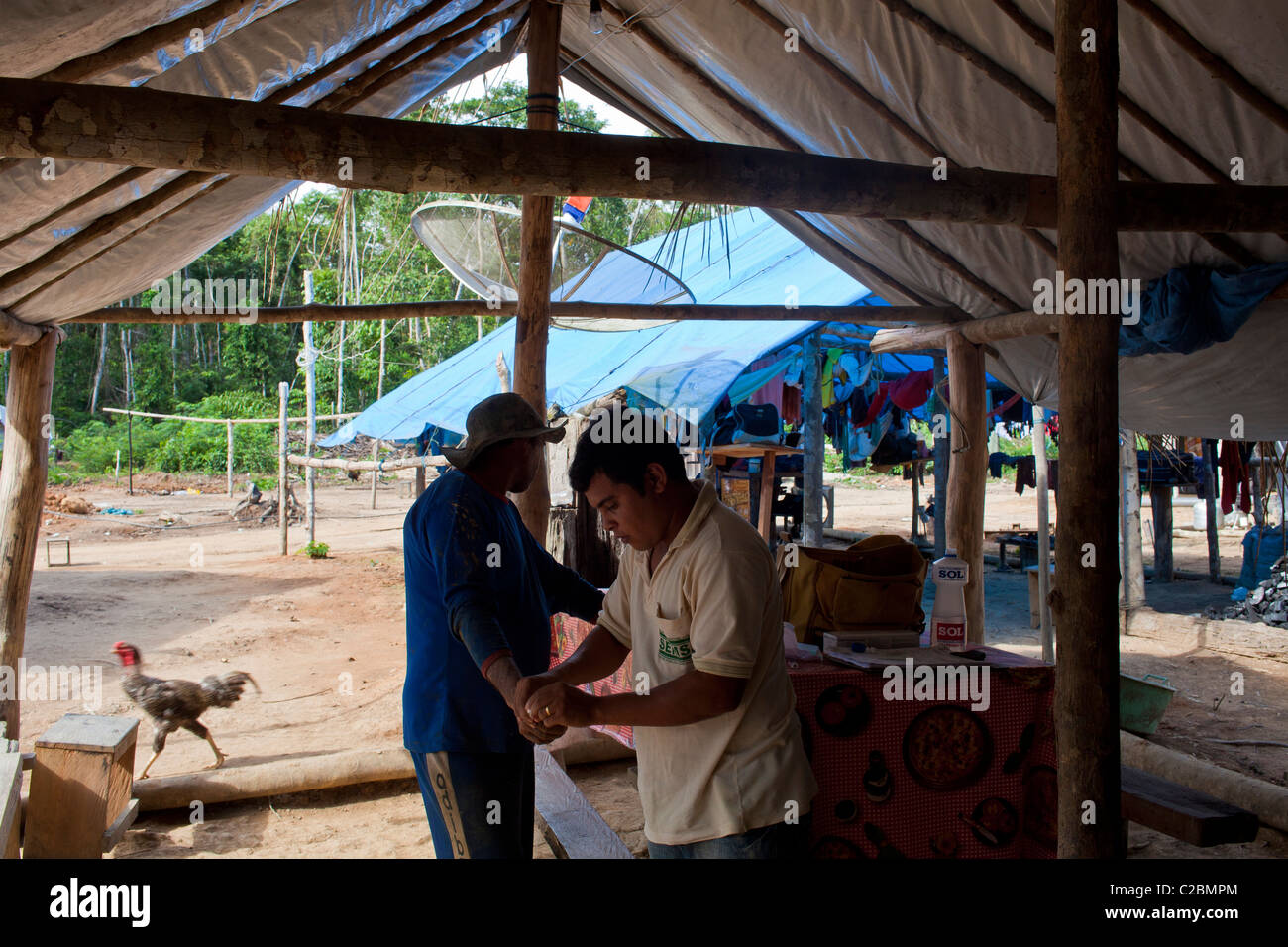 Health agent in Amazon gold mining area collecting blood from possibly malaria-infected gold seekers Brazil Stock Photo