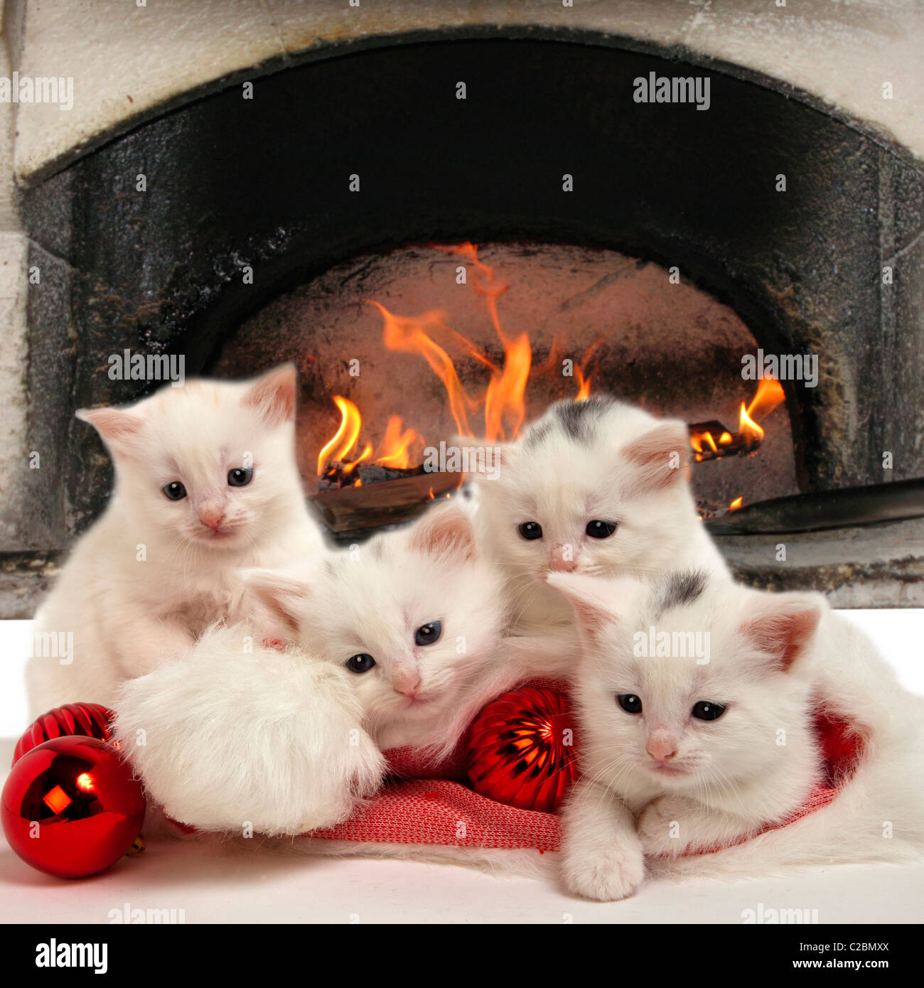 christmas kittens and home fire Stock Photo