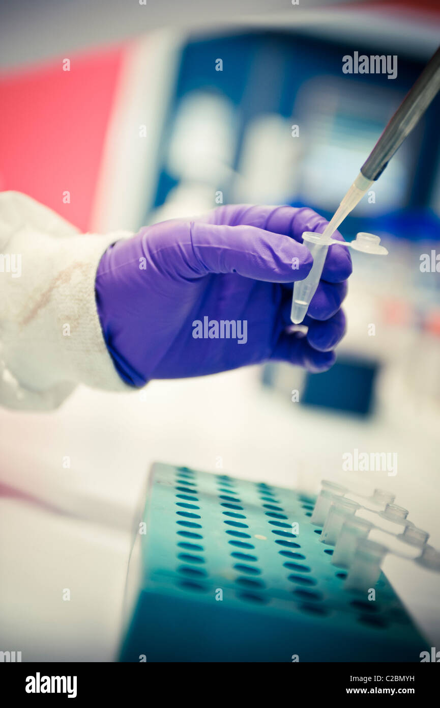 Close up of scientist hands pipetting into small test tubes above rack ...