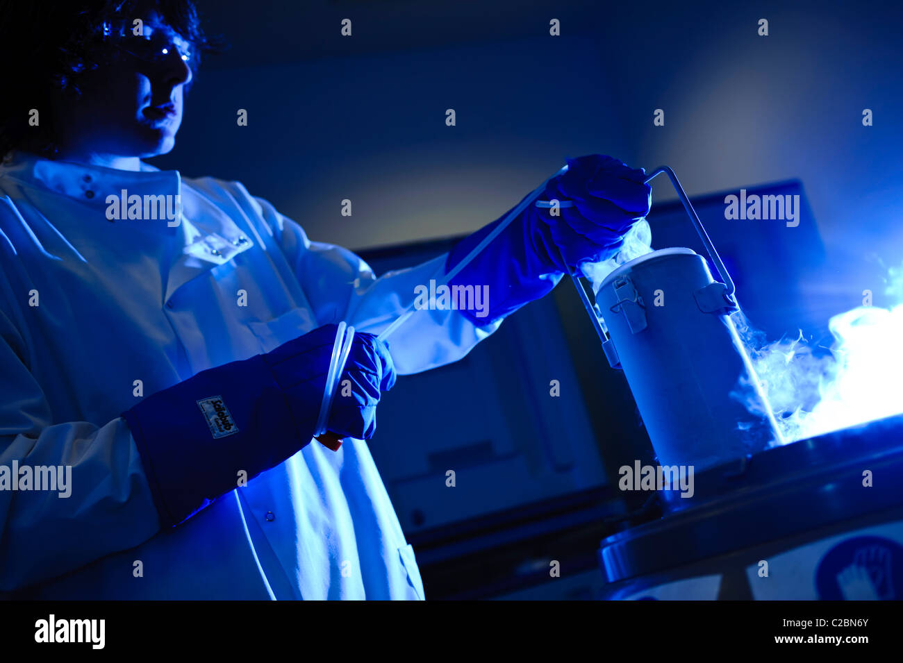 Young male scientist wearing goggles lab coat and blue gloves lifting cell cultures from liquid nitrogen dynamically lit blue Stock Photo