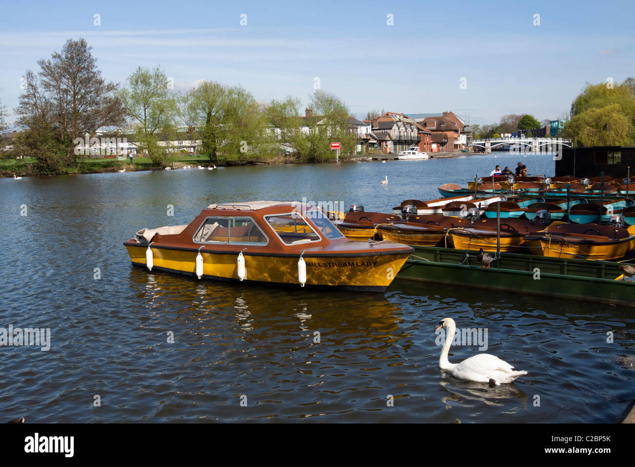 Windsor boats hires stock photography and images Alamy