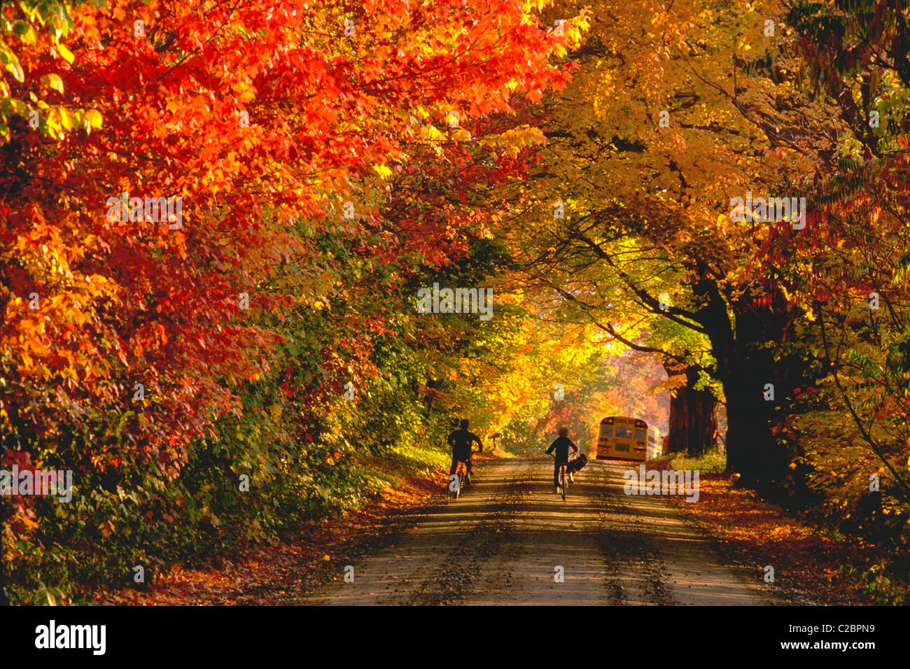 Two boys rushing to school in Jericho, Vermont Stock Photo Alamy