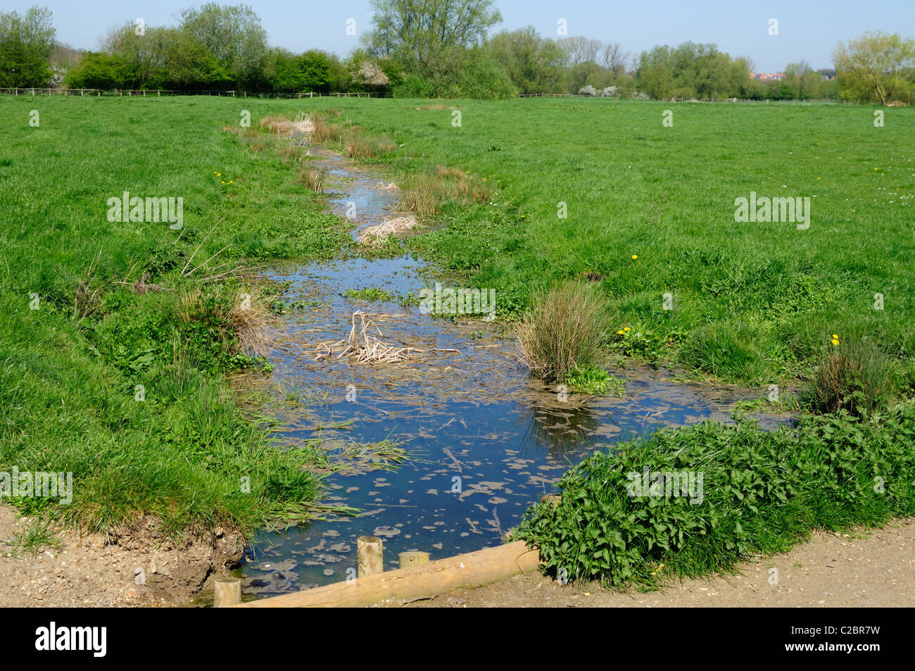 An open drainage ditch running across some common land in Suffolk, England. Stock Photo
