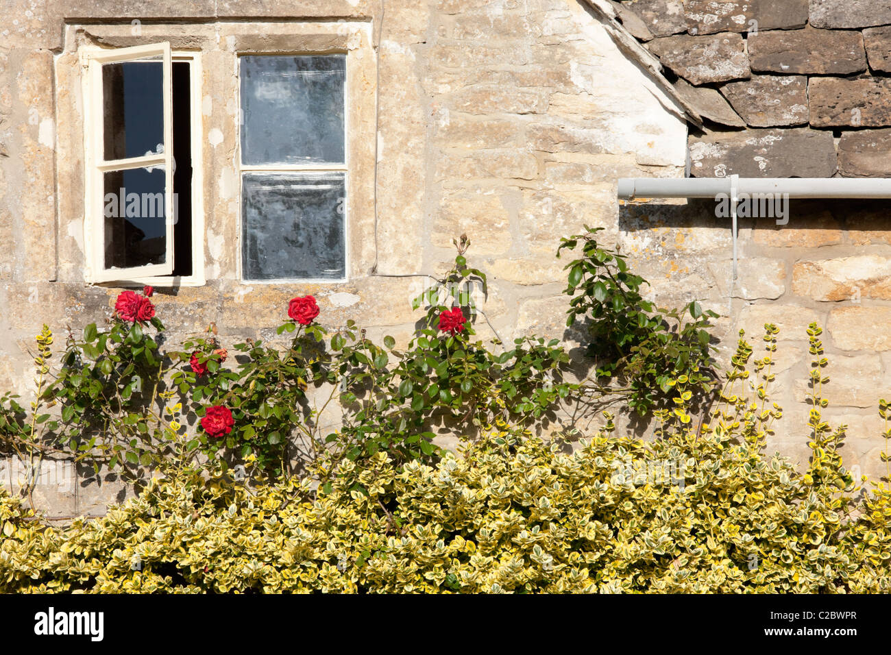 Cottage Window; Bibury; Gloucestershire; Cotswolds; England Stock Photo
