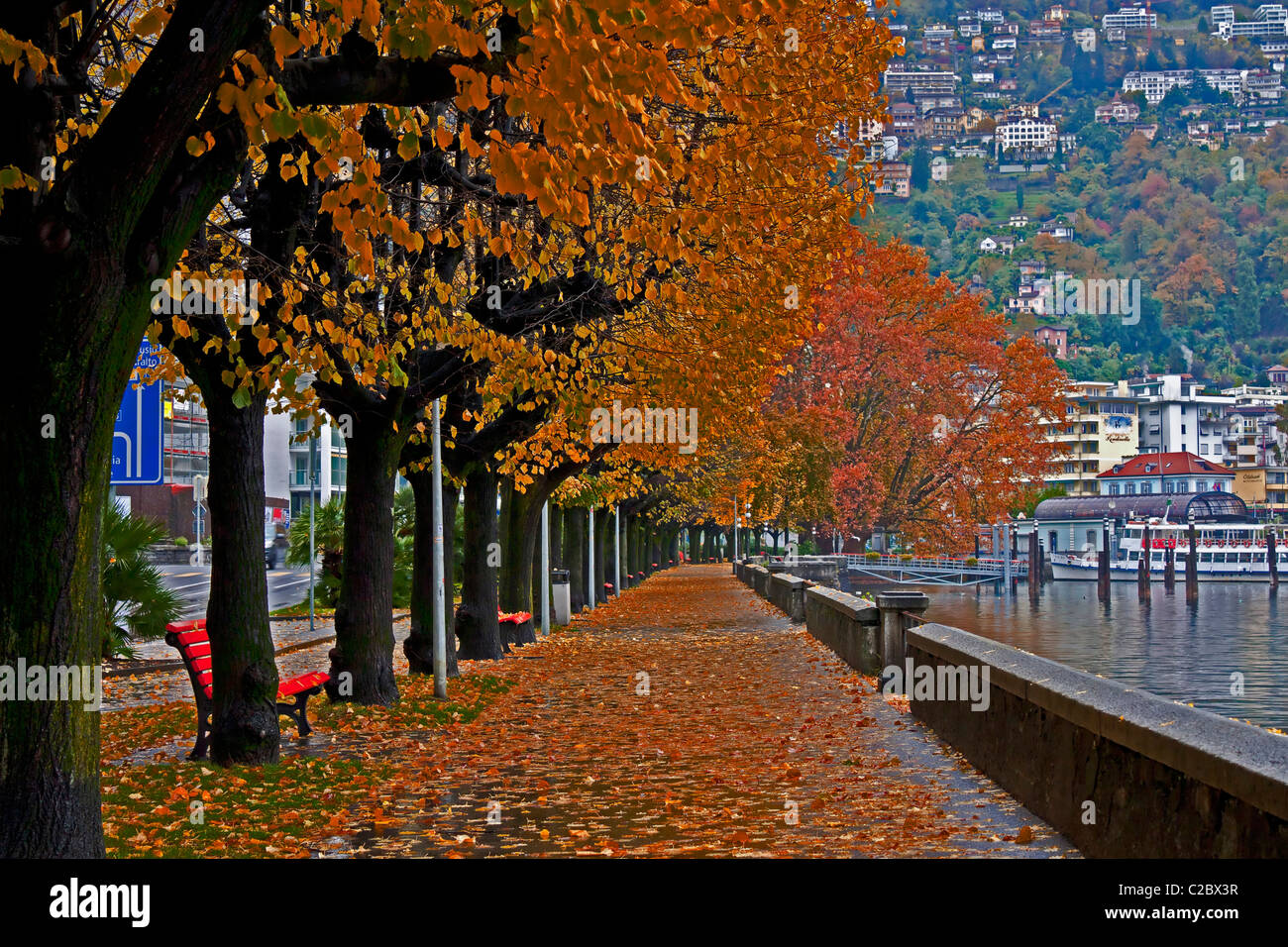 Page 3 - Bäume Allee High Resolution Stock Photography and Images - Alamy