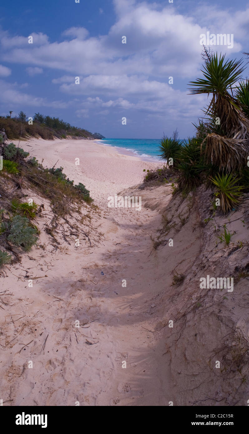 A narrow trail through the sand dunes leads to one of Bermuda's finest South Coast beaches. Stock Photo