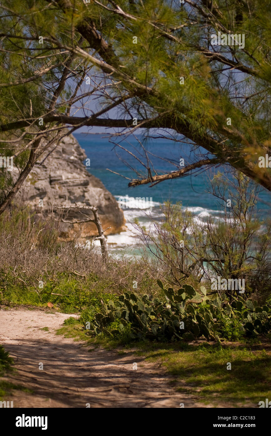 Ocean-front trail, Spittal Pond Nature Reserve, Smith's Parish, Bermuda. Stock Photo