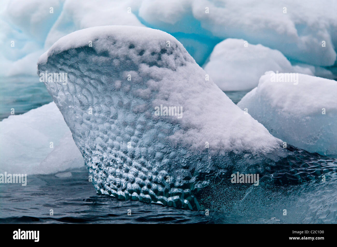 The translucent bubbled surface of a floating iceberg covered on snow. Stock Photo