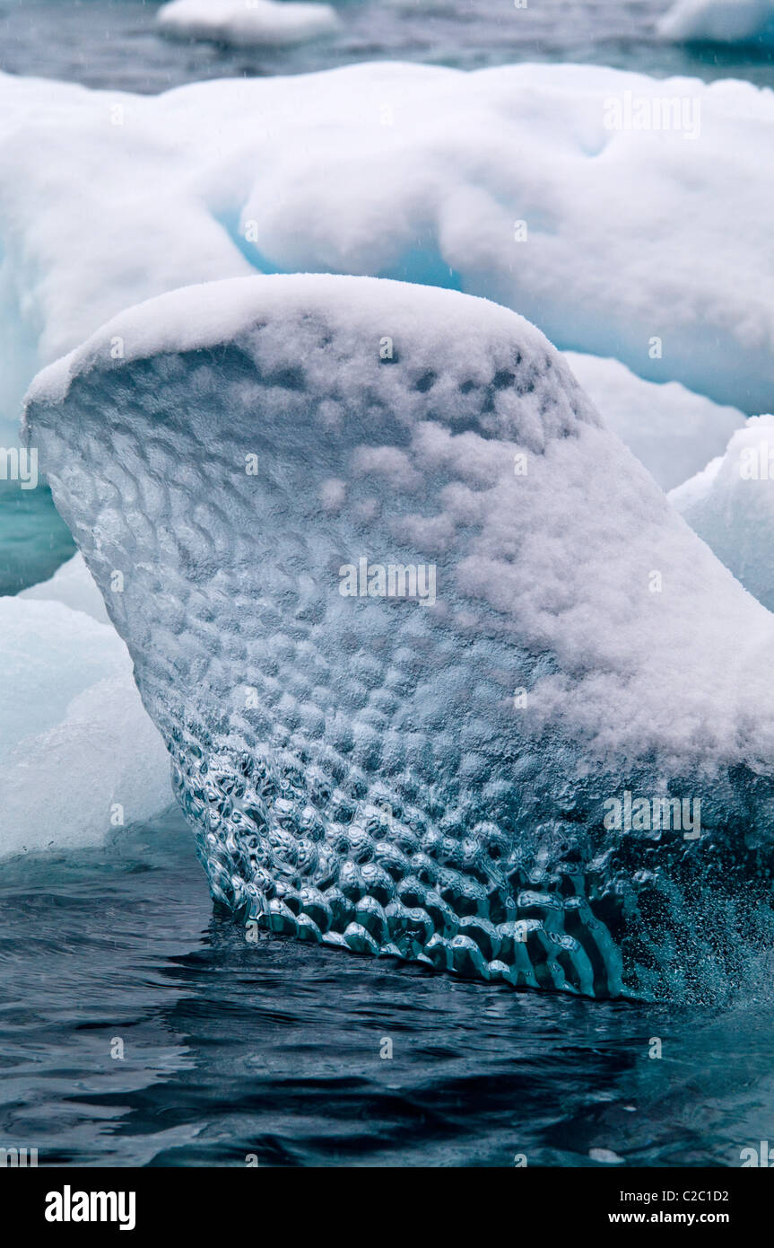 The translucent bubbled surface of a floating iceberg covered on snow. Stock Photo