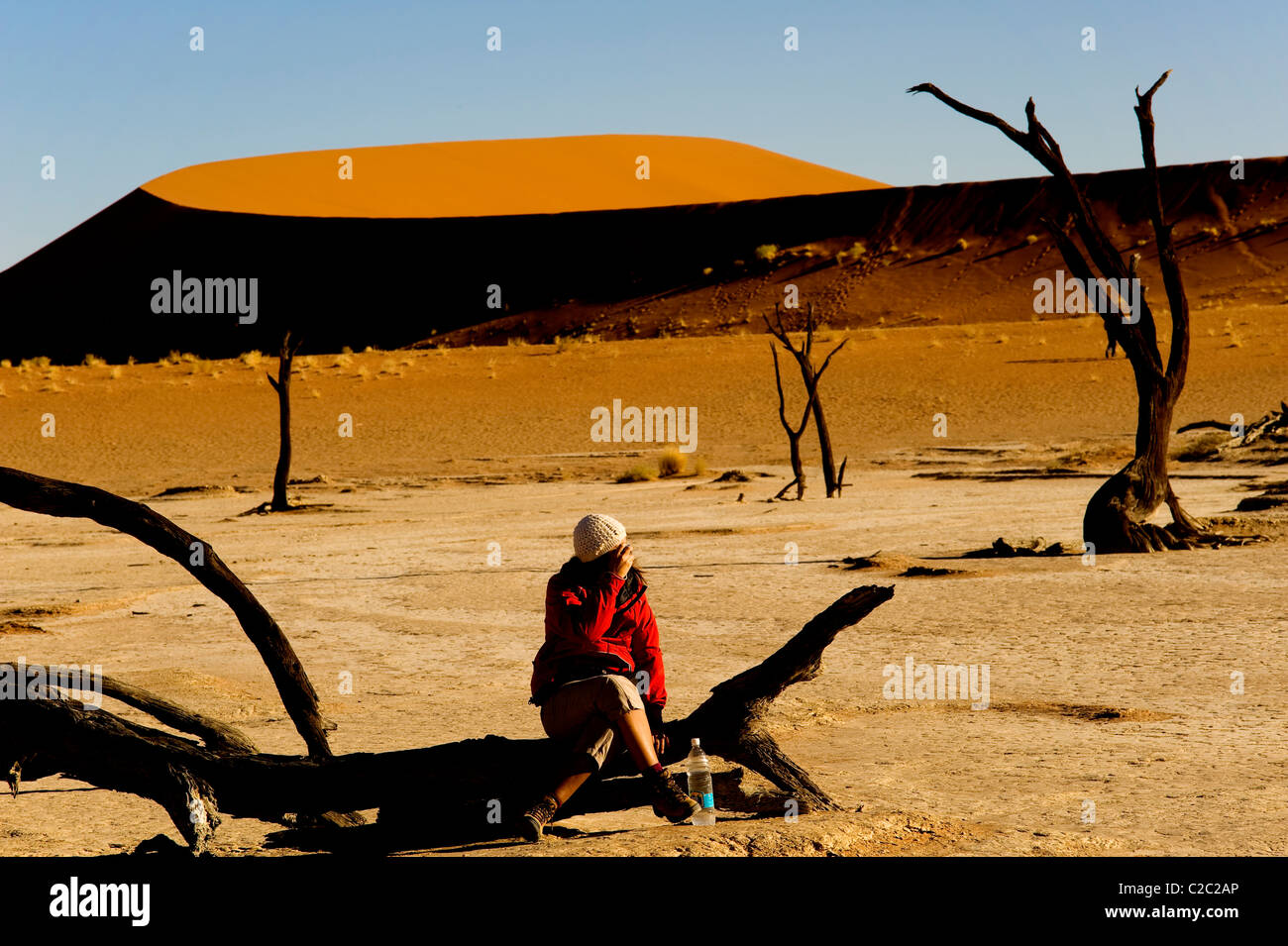 Tourist siting at a log at Dead Vlei is one of the main attraction of Sossusvlei in the Namib Naukluft National Park, Namibia Stock Photo