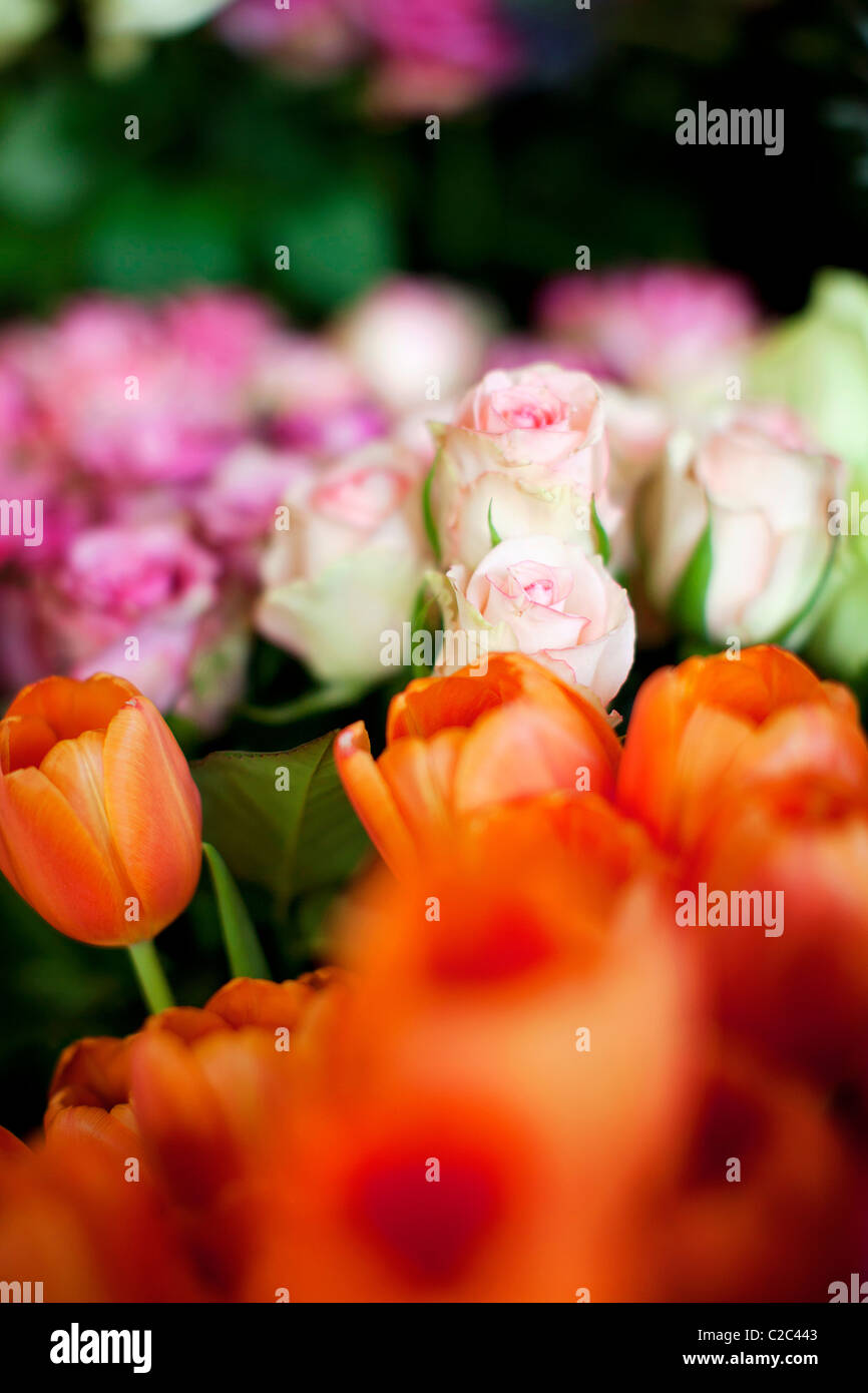 Bunch of Flowers Stock Photo - Alamy