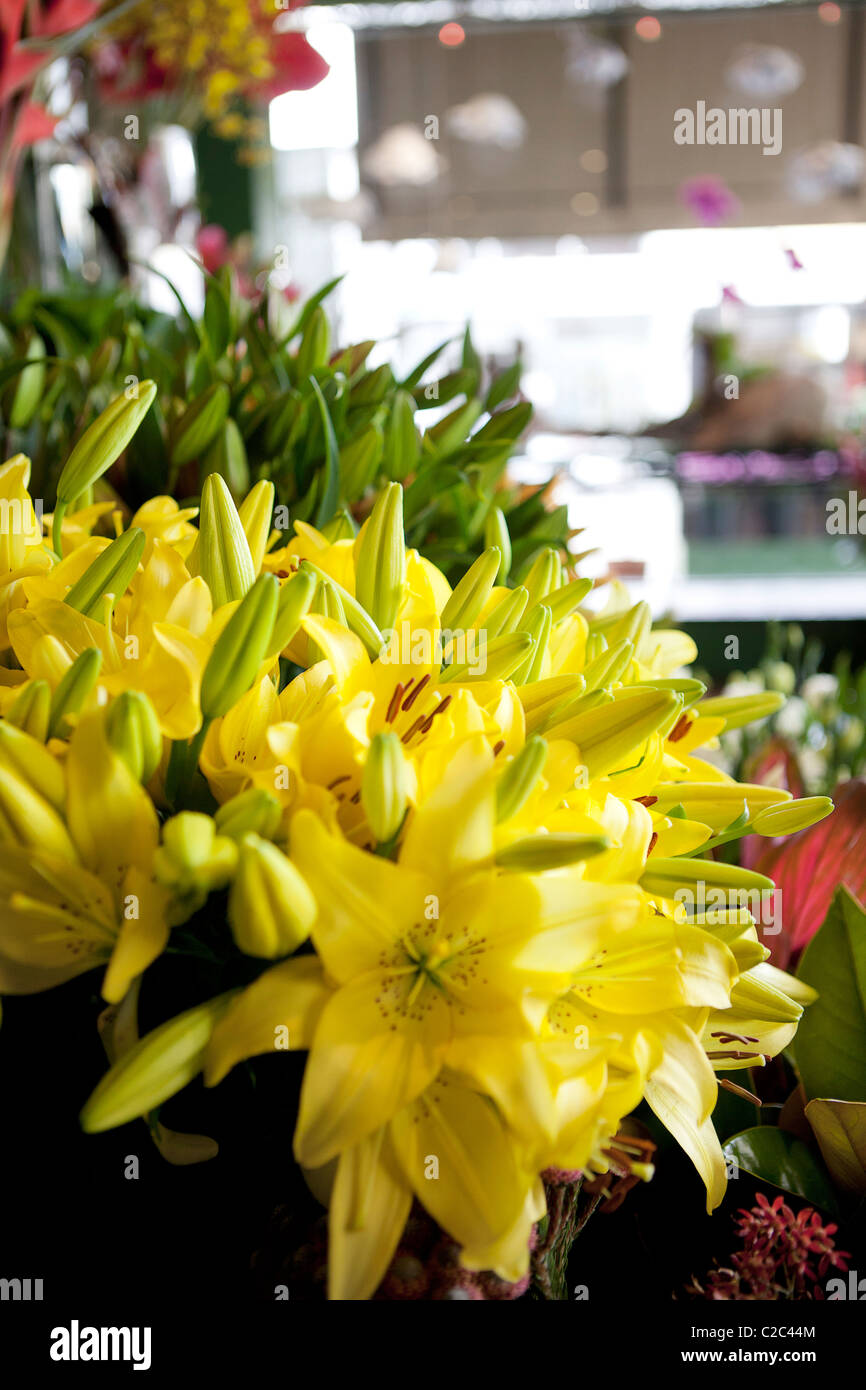 Tigerlilly flowers at flower shop Stock Photo - Alamy