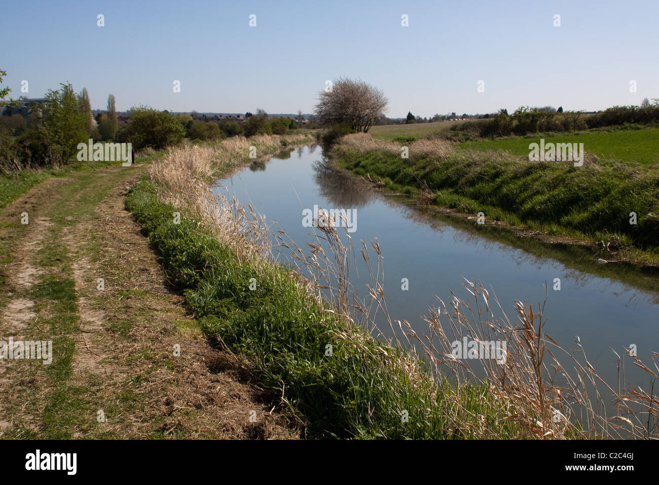 The restored Grand Union Canal (Wendover Arm) at Little Tring Stock Photo
