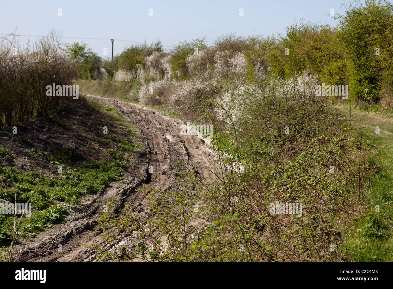 Grand union canal wendover arm hi-res stock photography and images - Alamy
