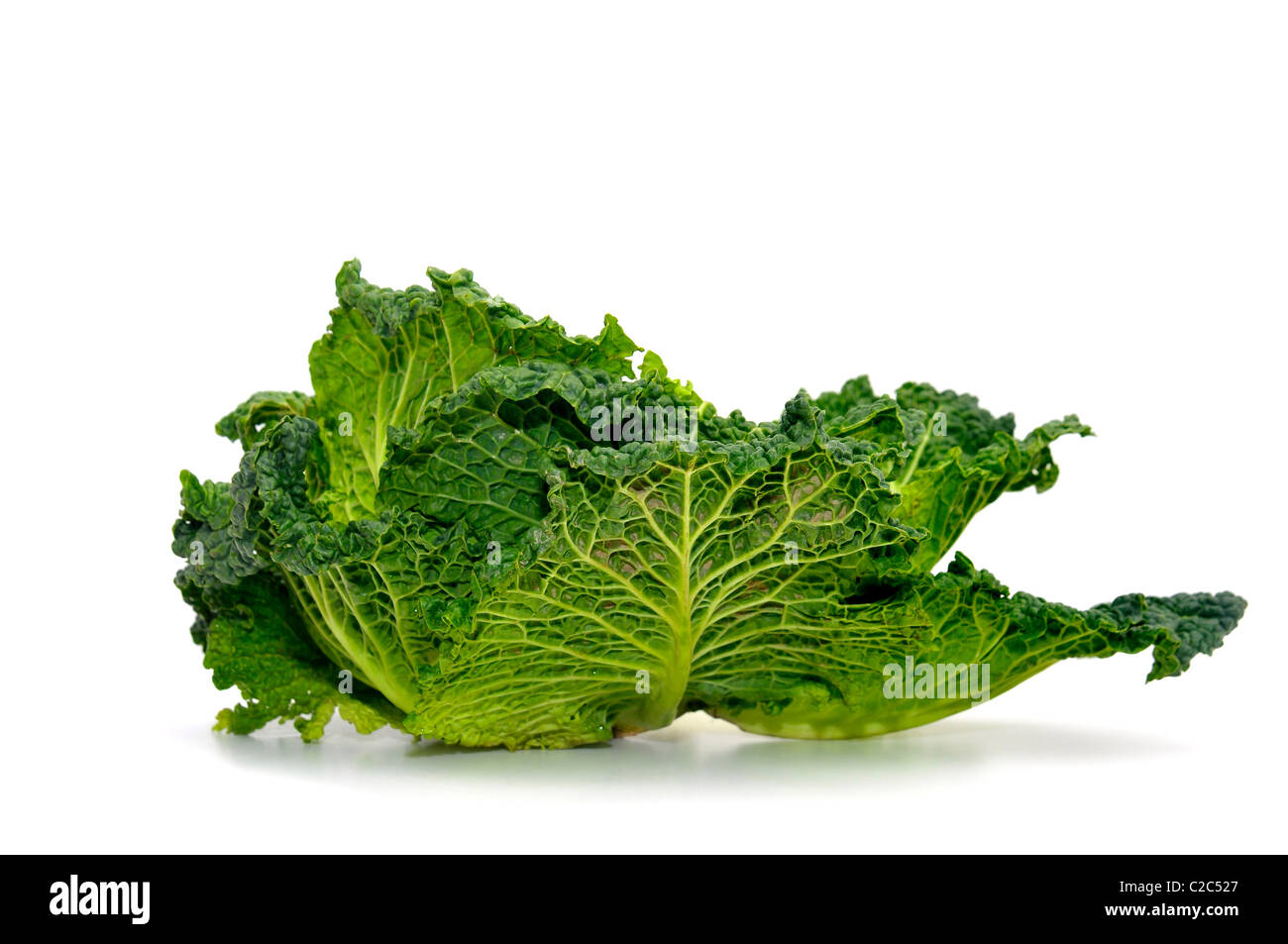 Beautiful cabbage isolated in white Stock Photo