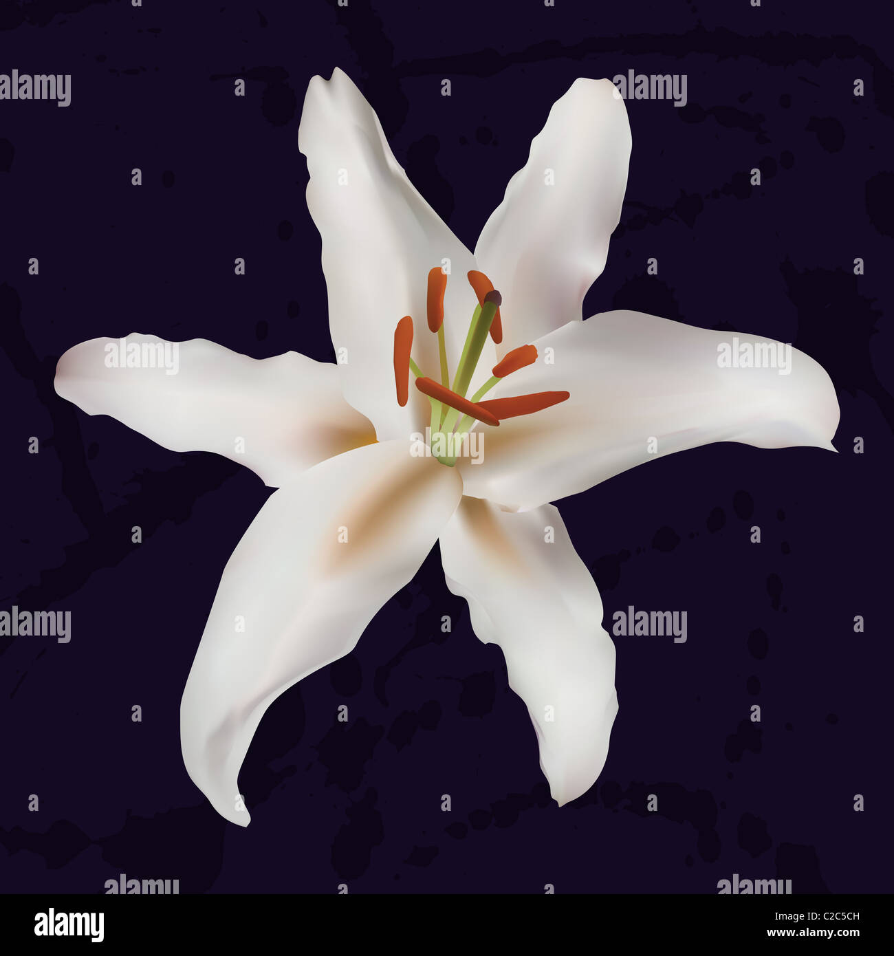 Realistic lily on dark blue background with paint splats Stock Photo