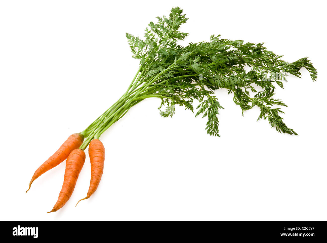 Fresh raw carrot on white background Stock Photo