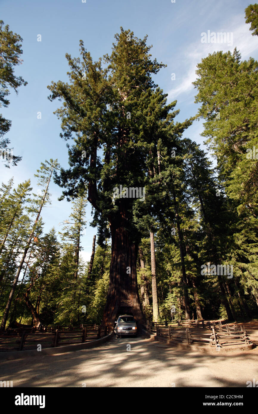 Leggett California USA Stock Photo Alamy