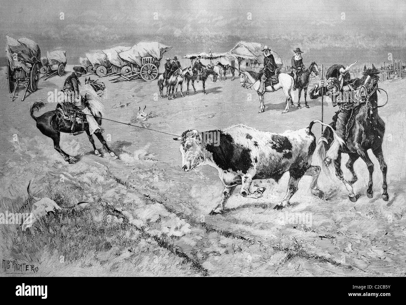 Capturing a bull on the Pampas, historical illustration, ca. 1893 Stock Photo