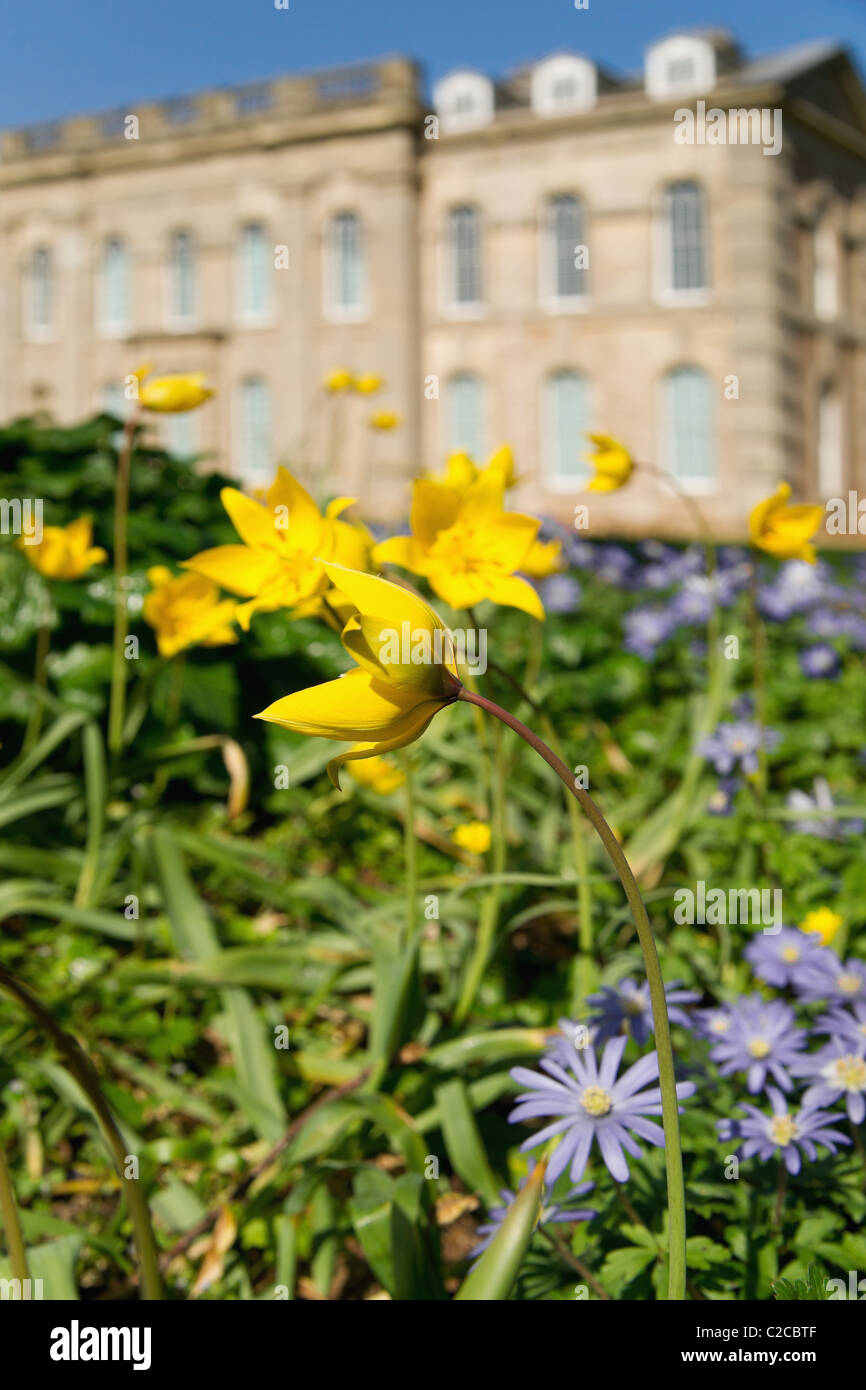 compton verney estate warwickshire Stock Photo Alamy