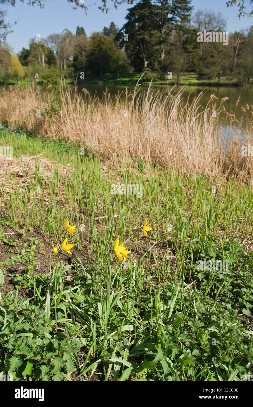 compton verney estate warwickshire Stock Photo Alamy