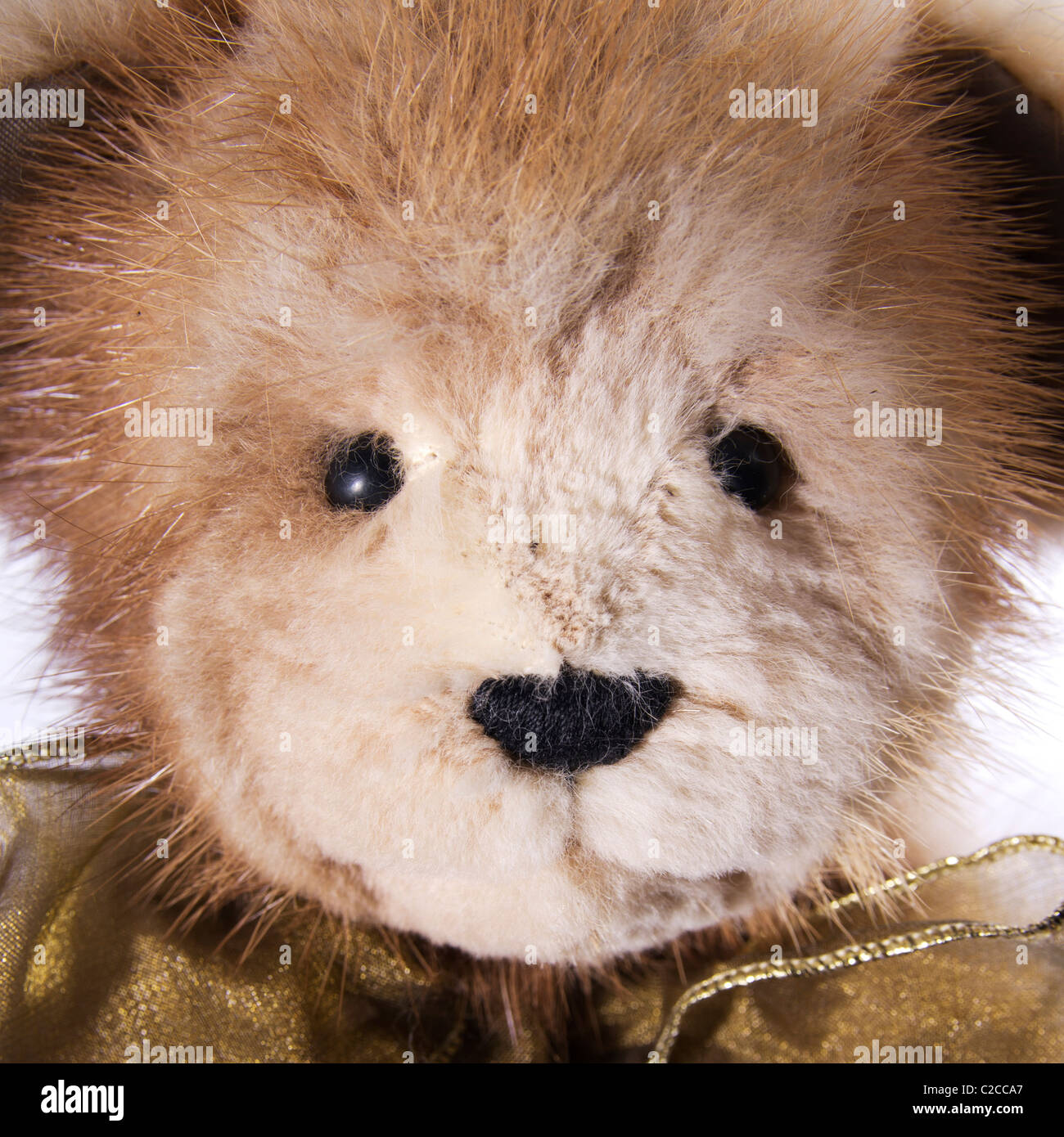 real fur teddy bear