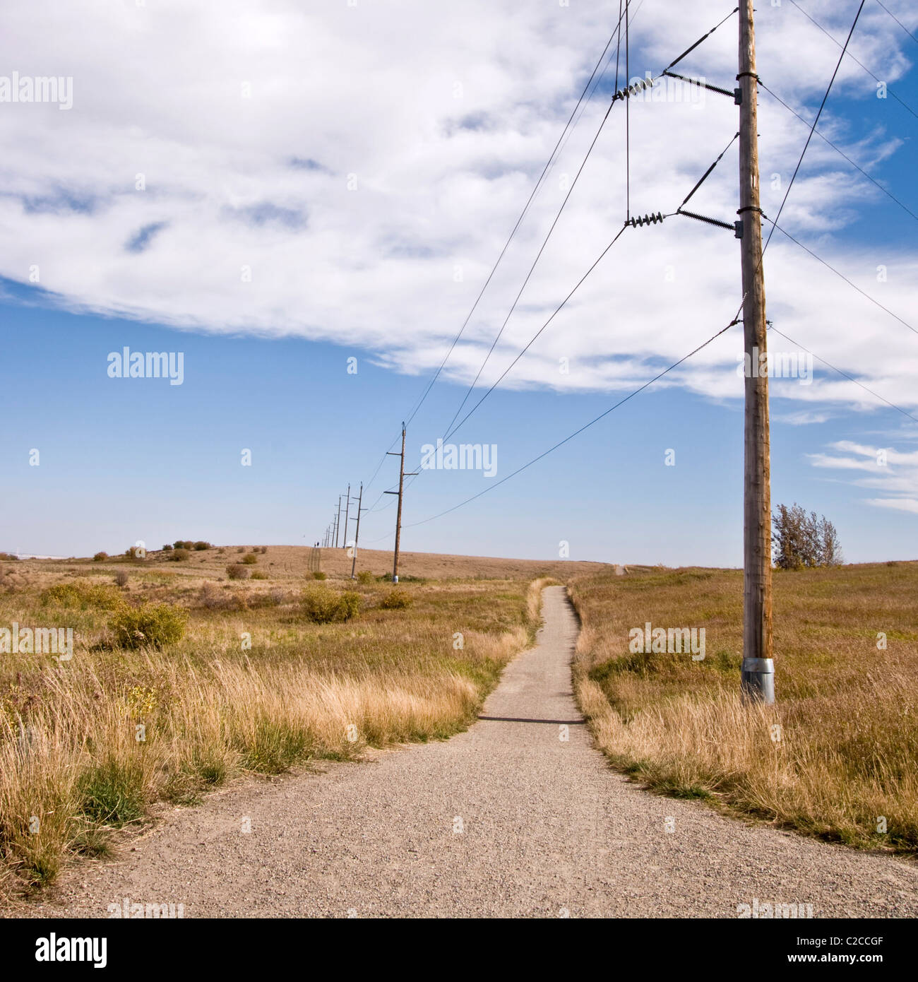 Power lines dotting a walking trail in Nosehill Park, a massive urban